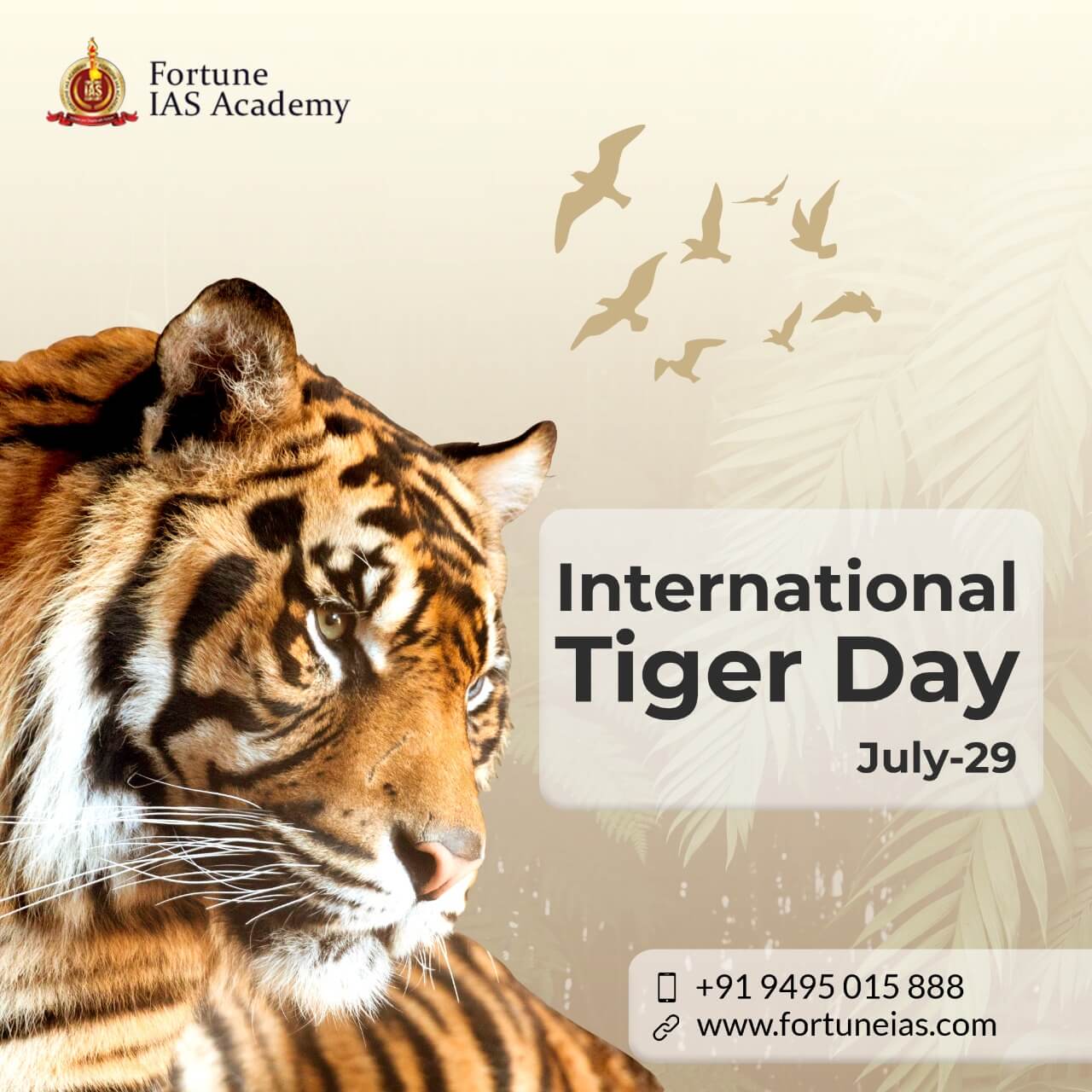 Tiger day